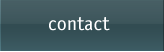 SEO Contact